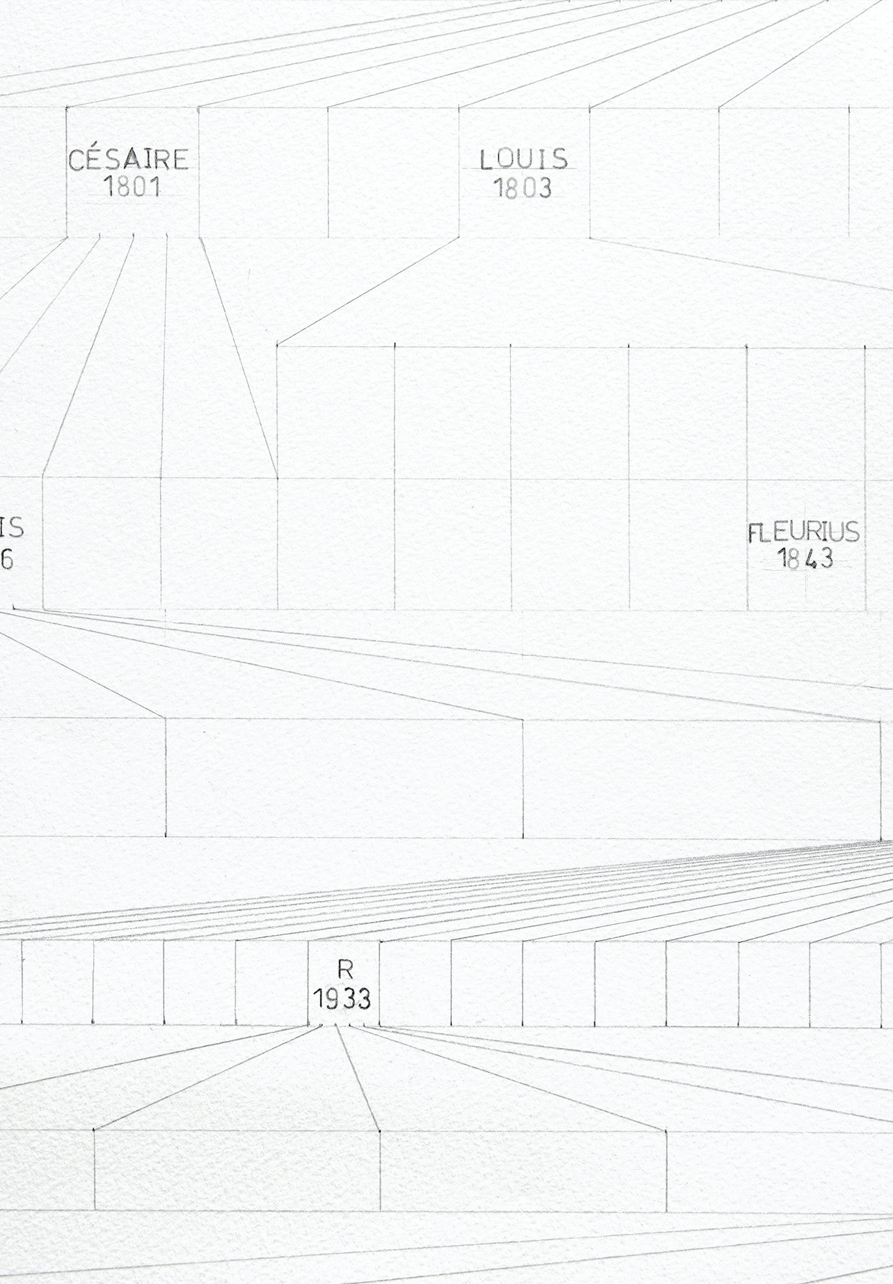 Dessin Arbre cadastral