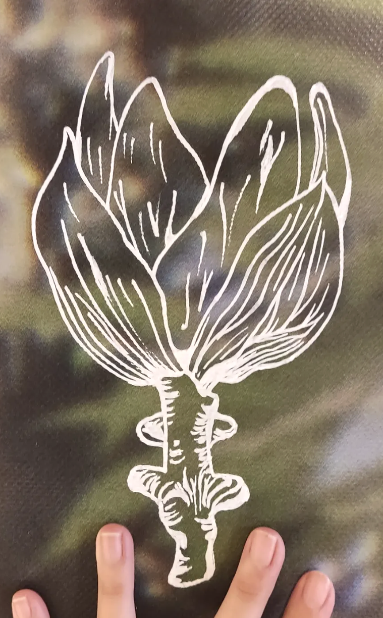 Dessin de fleur de houblon